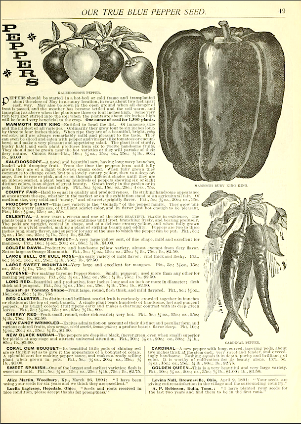 Livingston's Seed Company Catalog Pepper Page, 1895