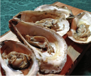 Grilled Oysters with Spicy Mignonette Sauce