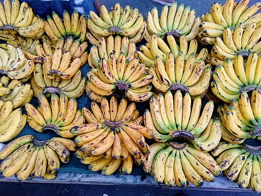 https://www.dave-dewitt.com/wp-content/uploads/Bananas_in_a_market_in_Caloocan_City.jpg