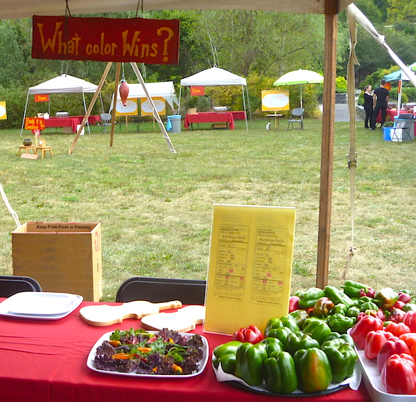 The Contest Station where people voted on their favorite pepper color, Red vs. Green.