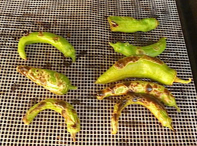 roasting green chiles